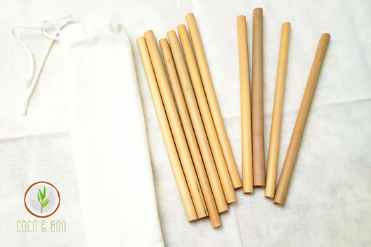 Eco-friendly Bamboo Straws 10-Piece Set